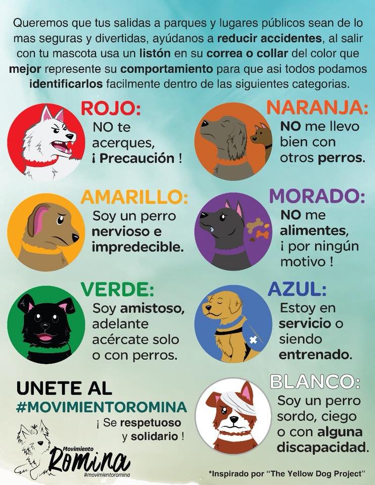 Como Educar a Un Perro Agresivo