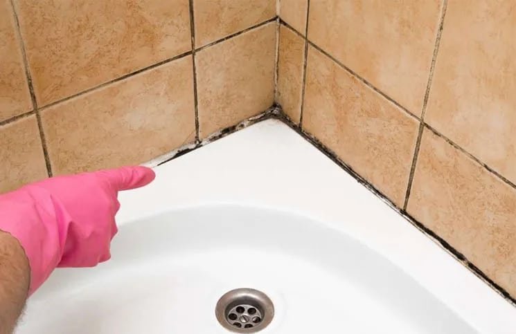 Como Limpiar Azulejos Del Baño Con Hongos