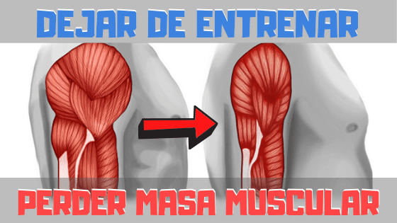 Como Perder Masa Muscular en Los Brazos