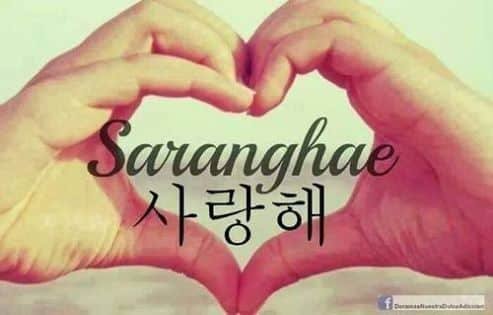 Como Se Dice Te Amo en Corea