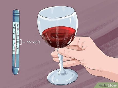 Como Se Toma Vino Tinto