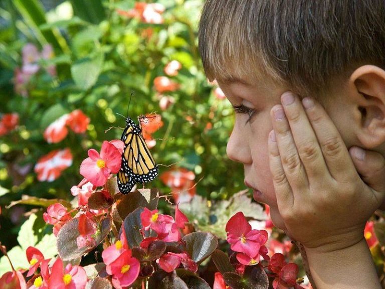 Actividades Mindfulness para niños: Descubre cómo beneficiarlos