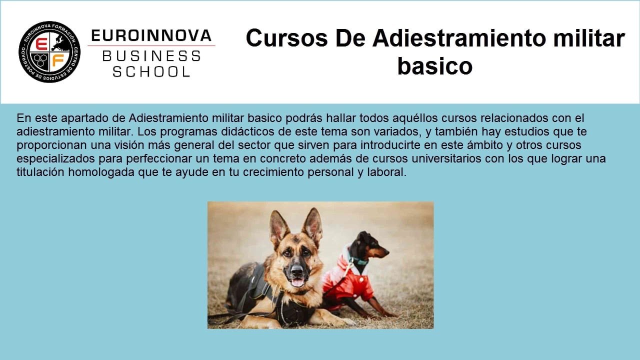 Adiestramiento Canino Militar: Guía Completa