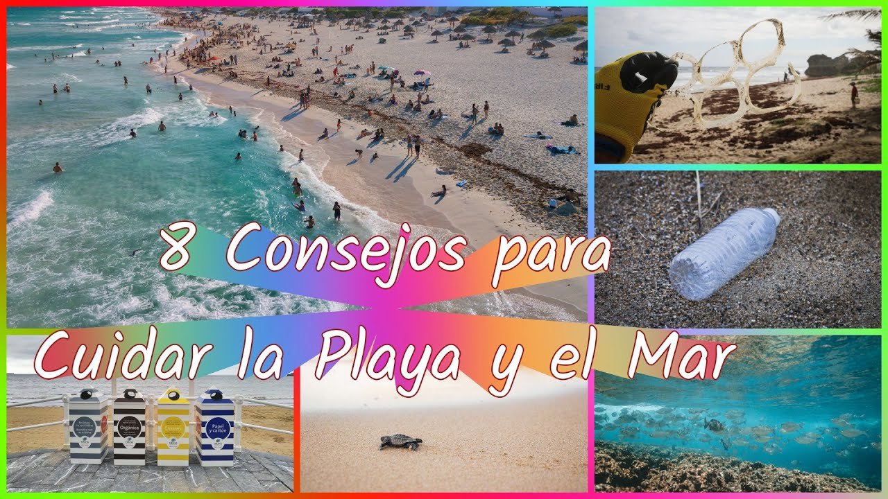 Consejos contra la Contaminación de Playas: Conoce sus Consecuencias