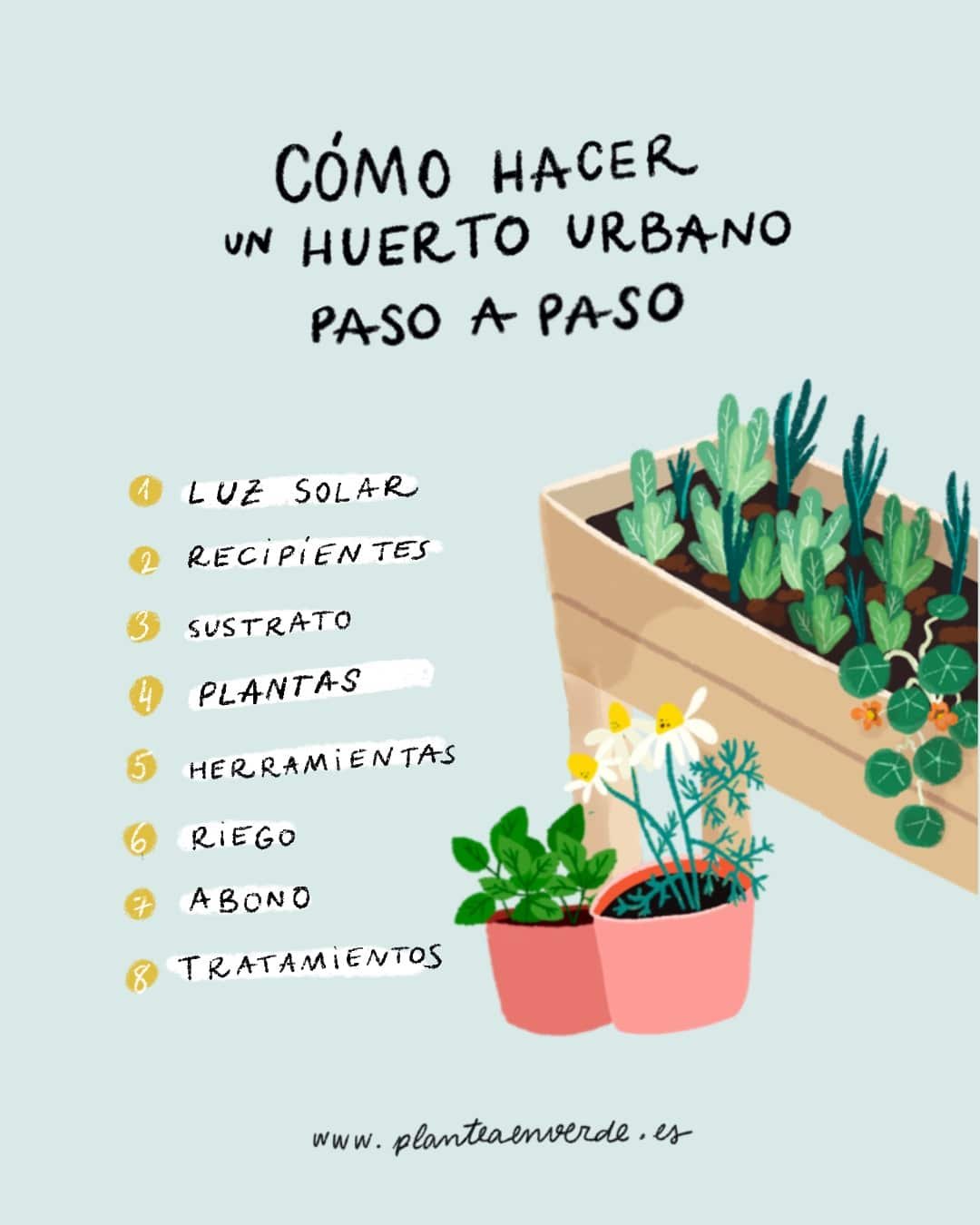 Consejos para sembrar rábanos de manera efectiva