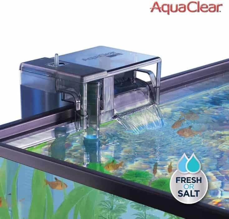 Consejos Útiles Para Oxigenar El Agua De Una Pecera