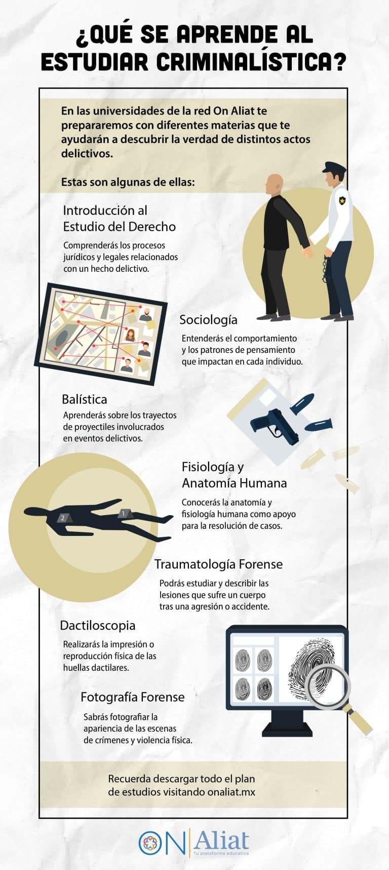 Criminología: Requisitos para Estudiar