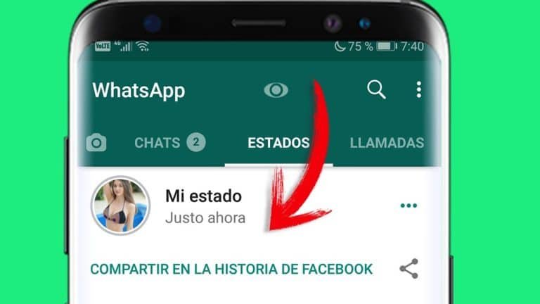 Descubre cómo ver estados ocultos en WhatsApp