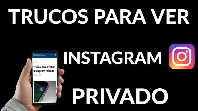 Descubre Cómo Ver Un Perfil De Instagram Privado En 2022