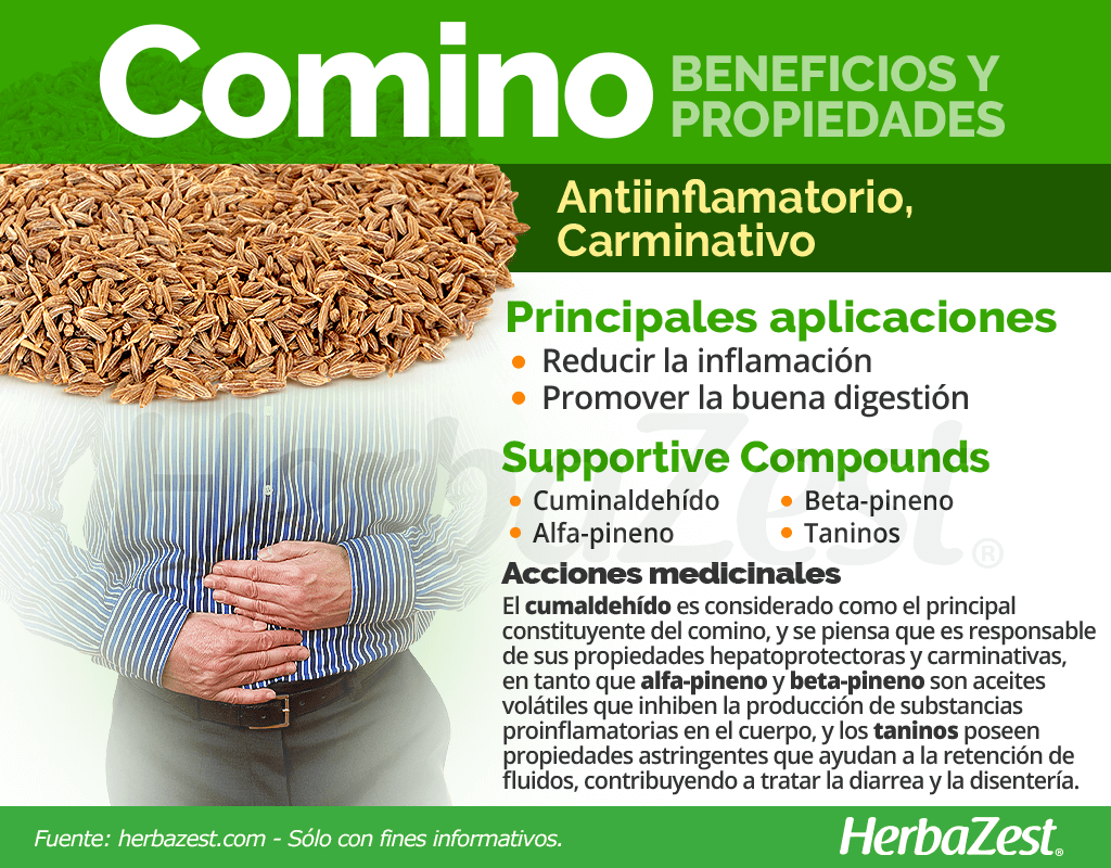 Descubre las propiedades del comino: usos y beneficios