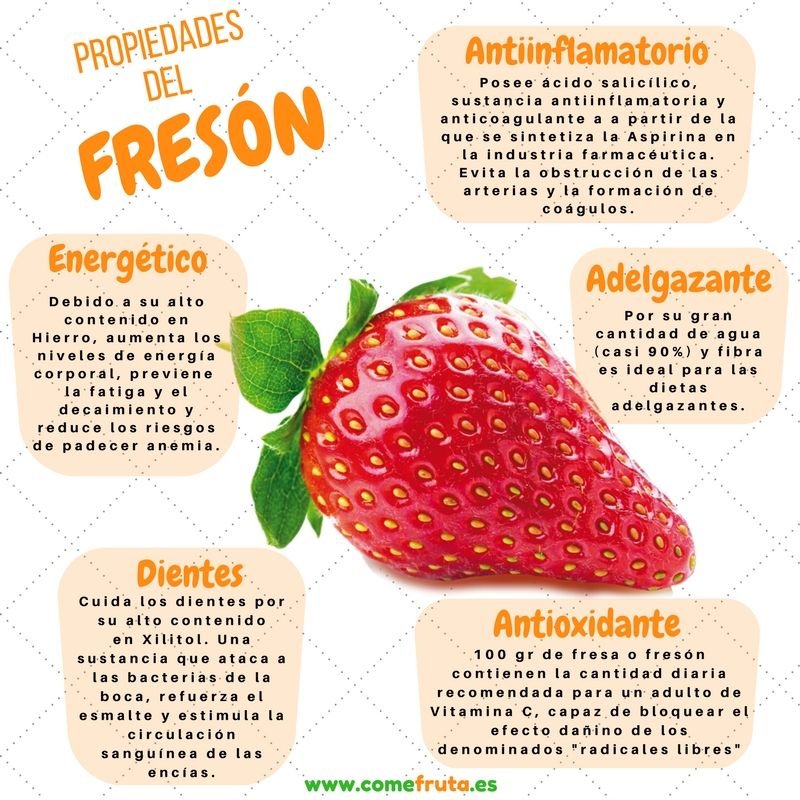 Descubre los Beneficios para la Salud de las Características de la Fresa