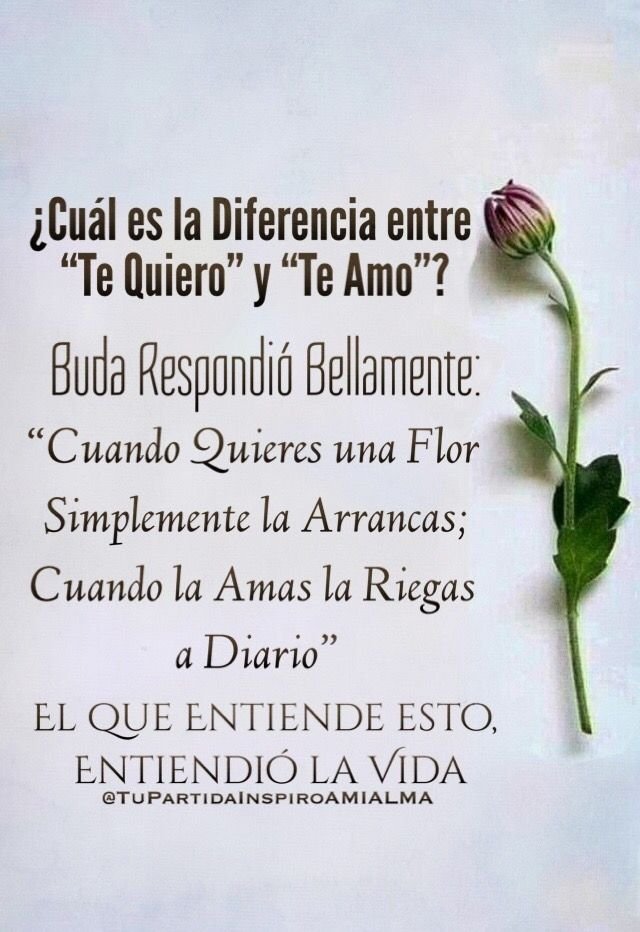 Descubre si un hombre te aprecia con estos consejos