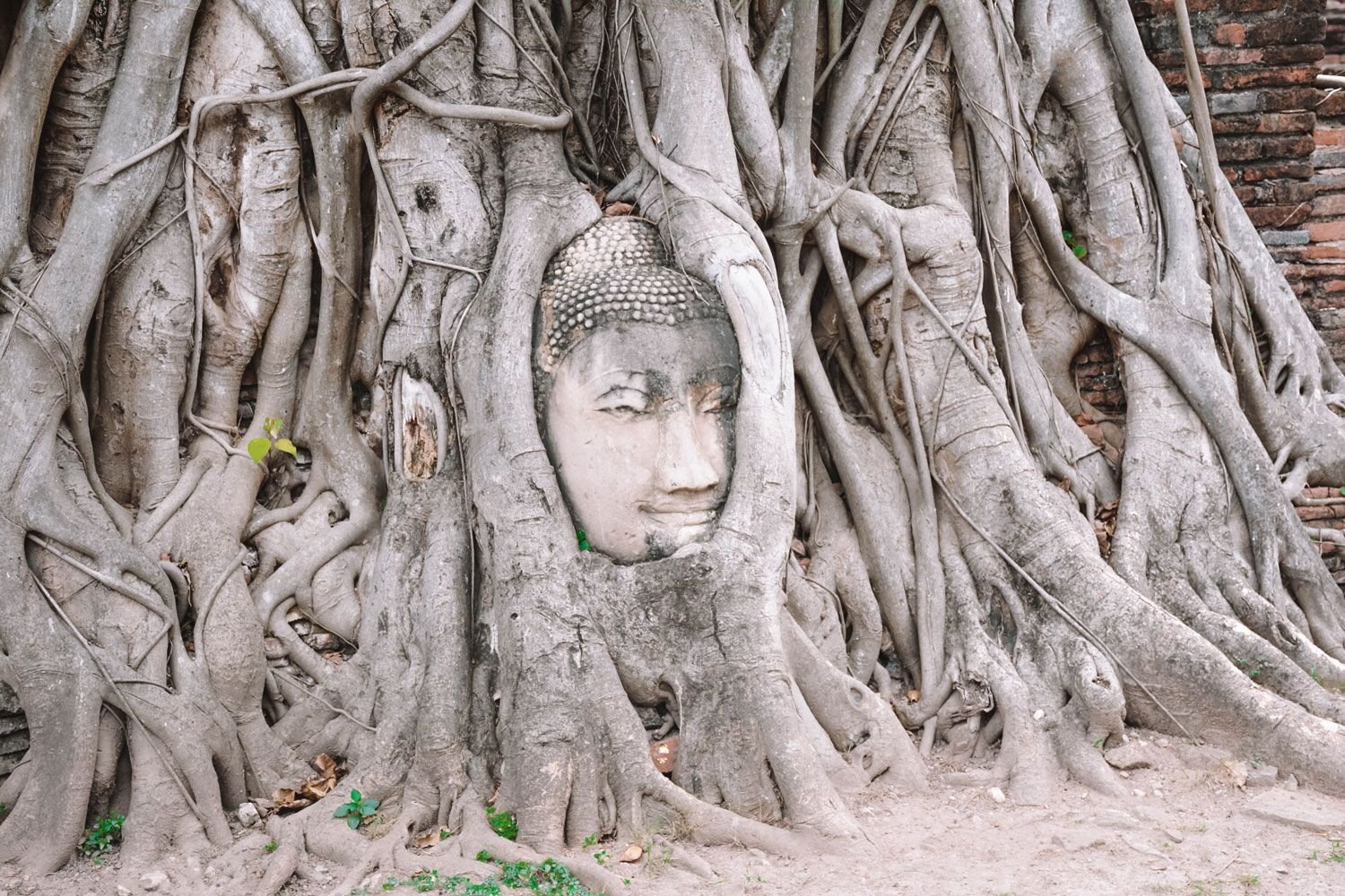 La mejor forma de ir de Bangkok a Ayutthaya: Guía práctica