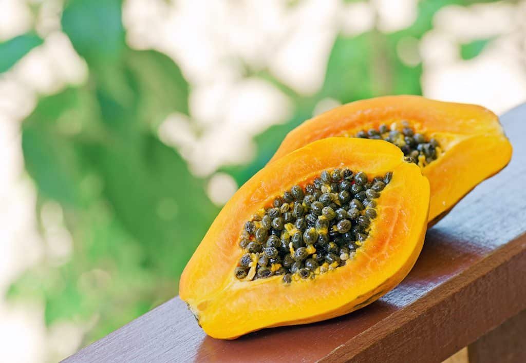 Descubre las enfermedades curables por la papaya