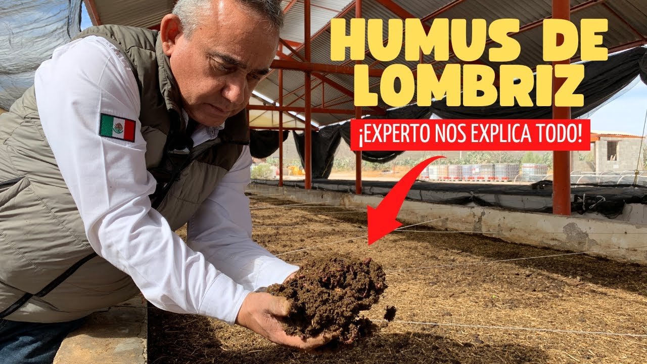 Descubre los beneficios del Humus de Lombriz y aprende a prepararlo