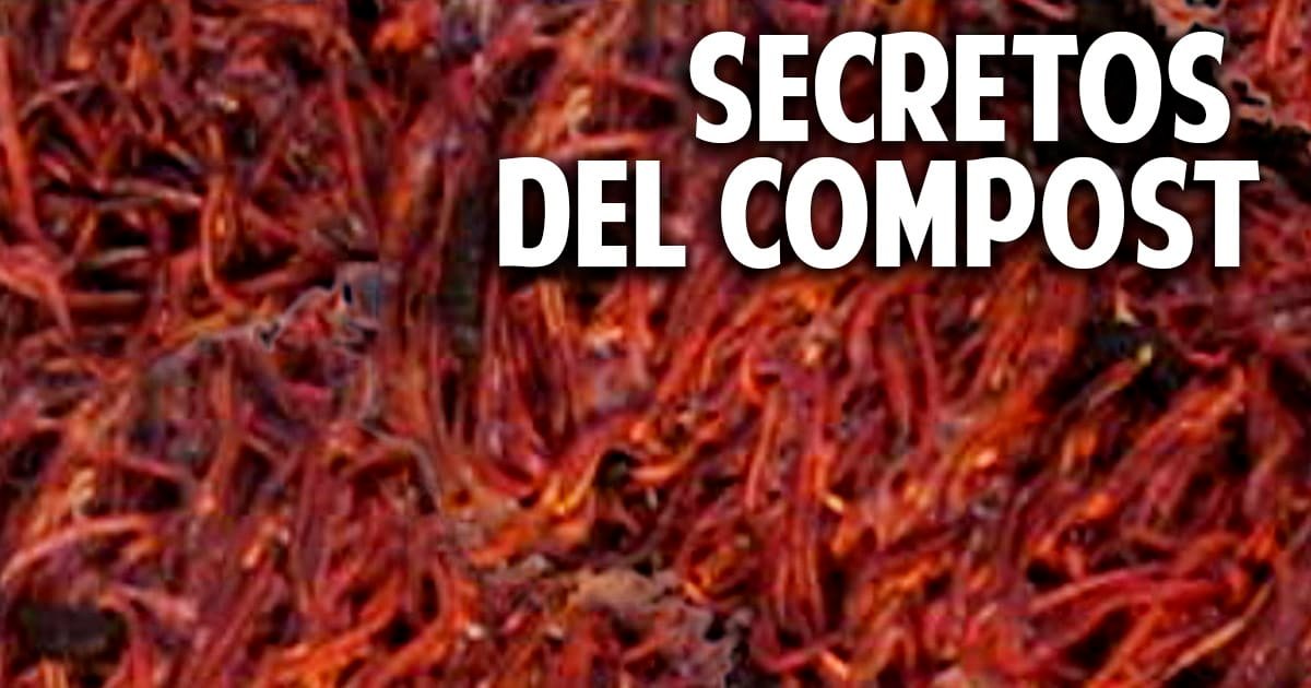 Descubre los secretos del compost: ¿Qué contiene?