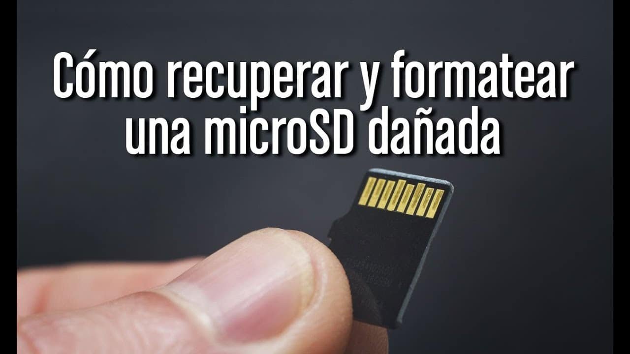 Recuperación de tarjeta de memoria: ¿Qué hacer si no se detecta?