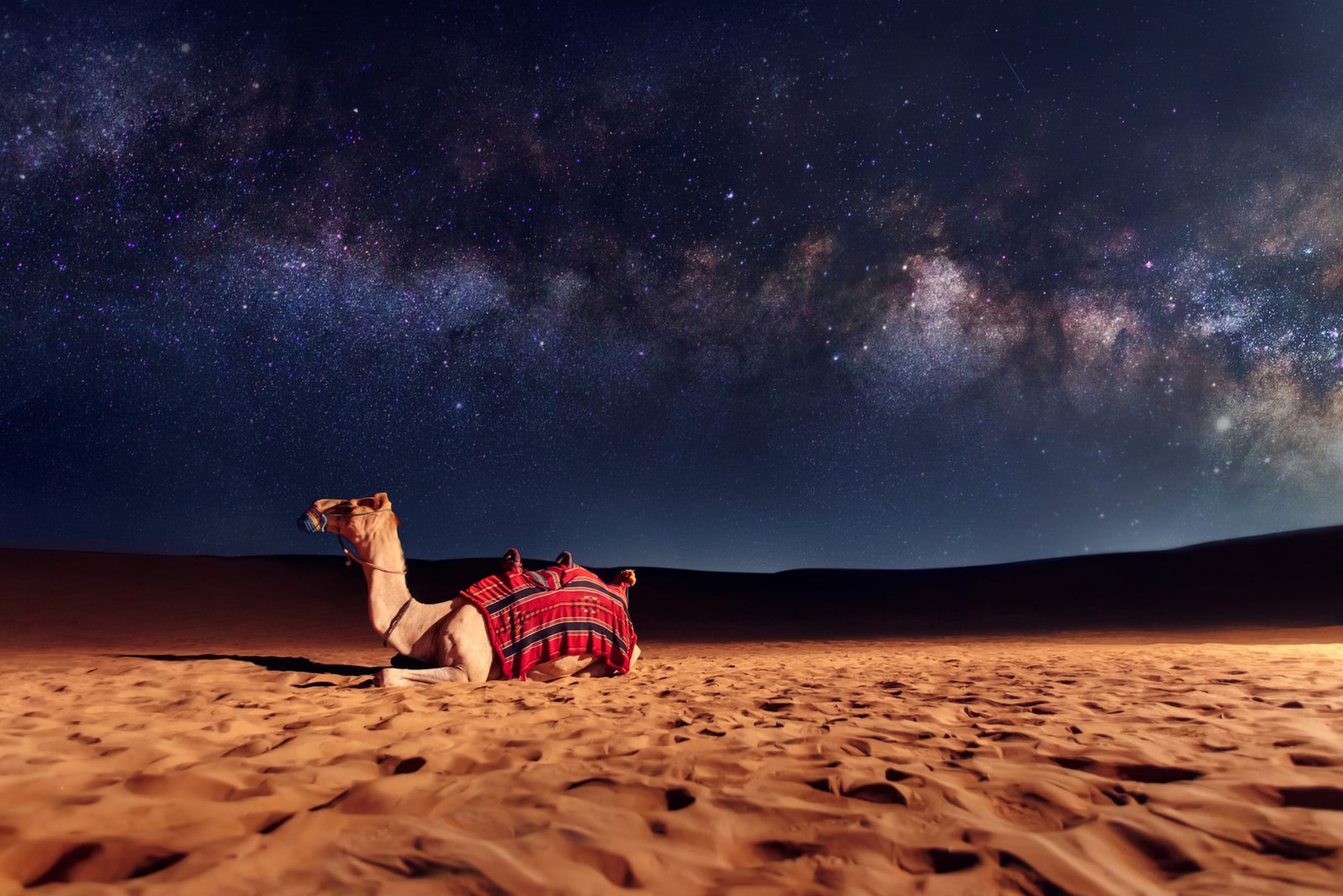 Temperaturas del desierto: ¿Por qué tan altas?